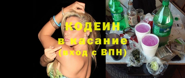 гидра Анжеро-Судженск