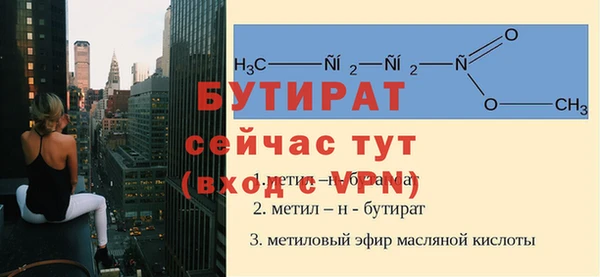 гидра Анжеро-Судженск