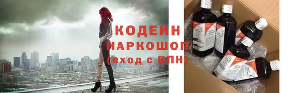 гидра Анжеро-Судженск