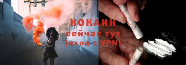 гидра Анжеро-Судженск