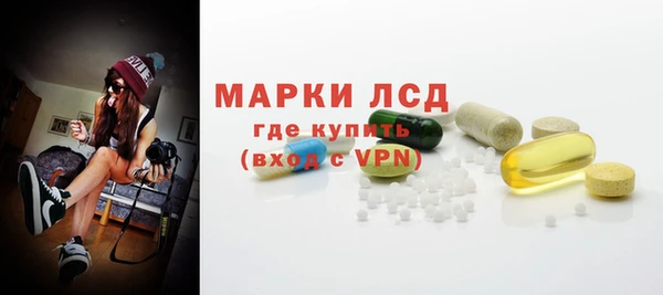 spice Богородицк