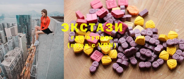 spice Богородицк