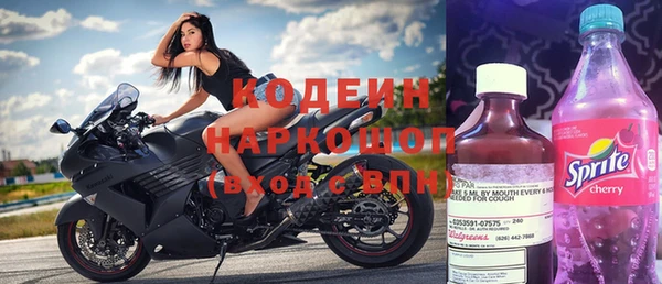 гидра Анжеро-Судженск