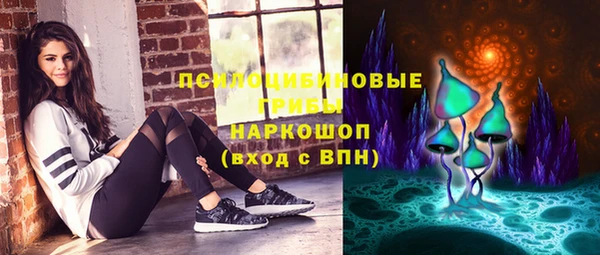 стаф Бронницы