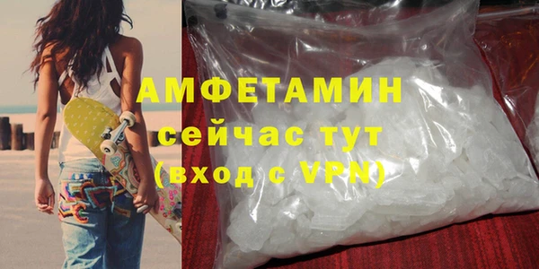 гидра Анжеро-Судженск
