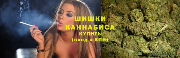 сатива Бородино