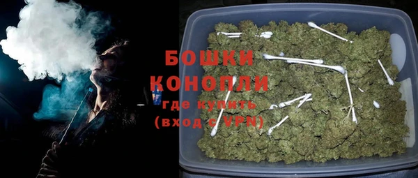 сатива Бородино