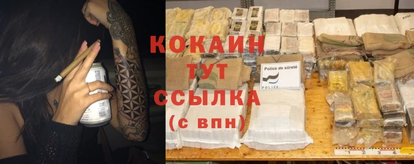 гидра Анжеро-Судженск